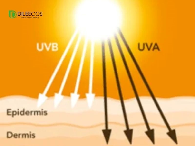 Tia UV là gì